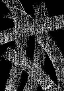 Black Lines, Reversed<br> - by Larissa Trageser