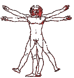 Da Vinci's man