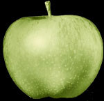 Apple Records logo