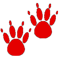 Pawprints