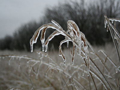 Frozen in Time