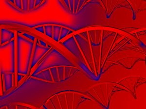 DNA