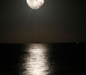 Night