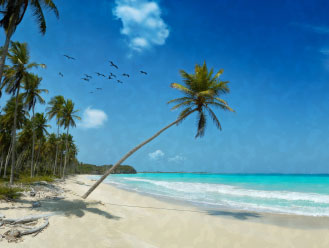 Beach