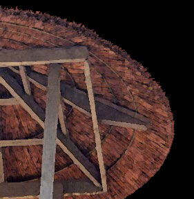 Thatch roof