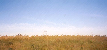 South Dakota