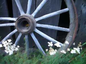 Wagon wheel